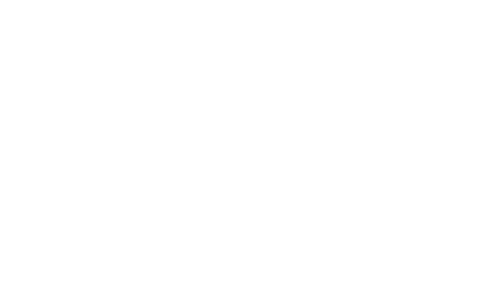 Pinnacle Signature Lighting logo