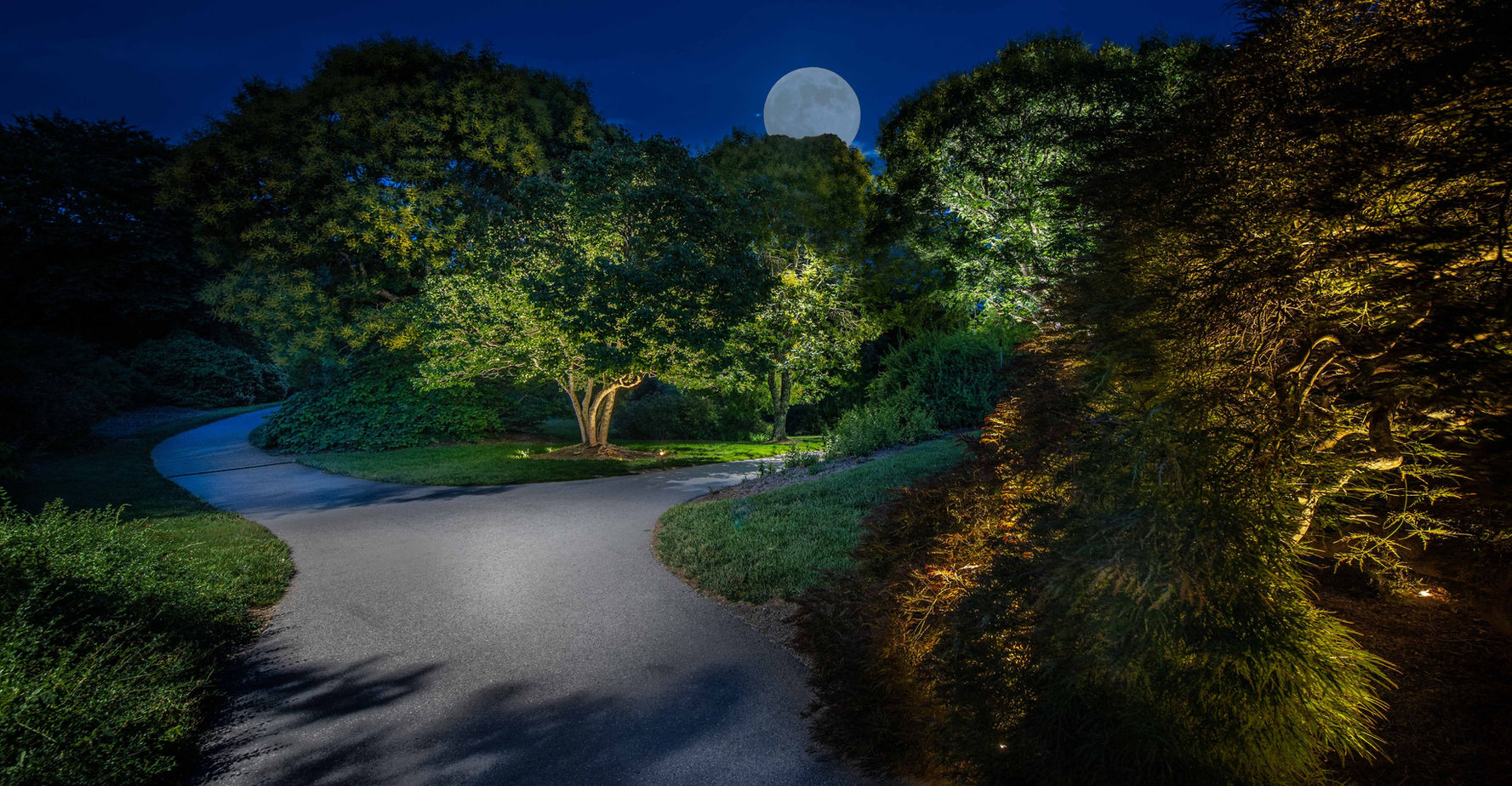 A paved path curves through a garden at night, illuminated by lights with trees and bushes visible, and a full moon in the sky.