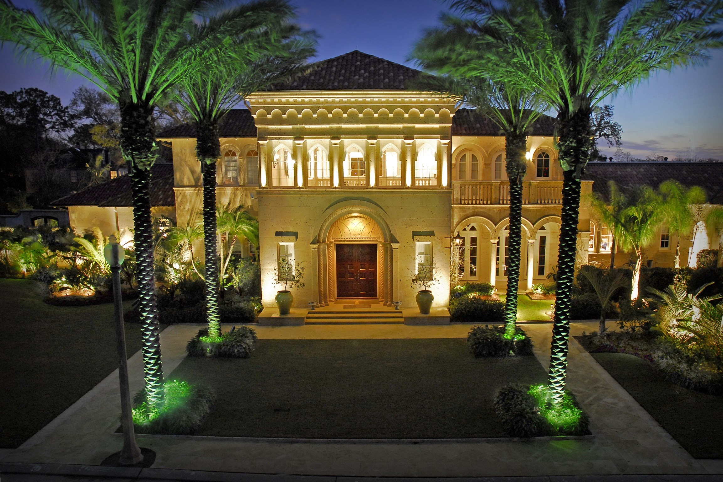 A house with palm trees and lights.